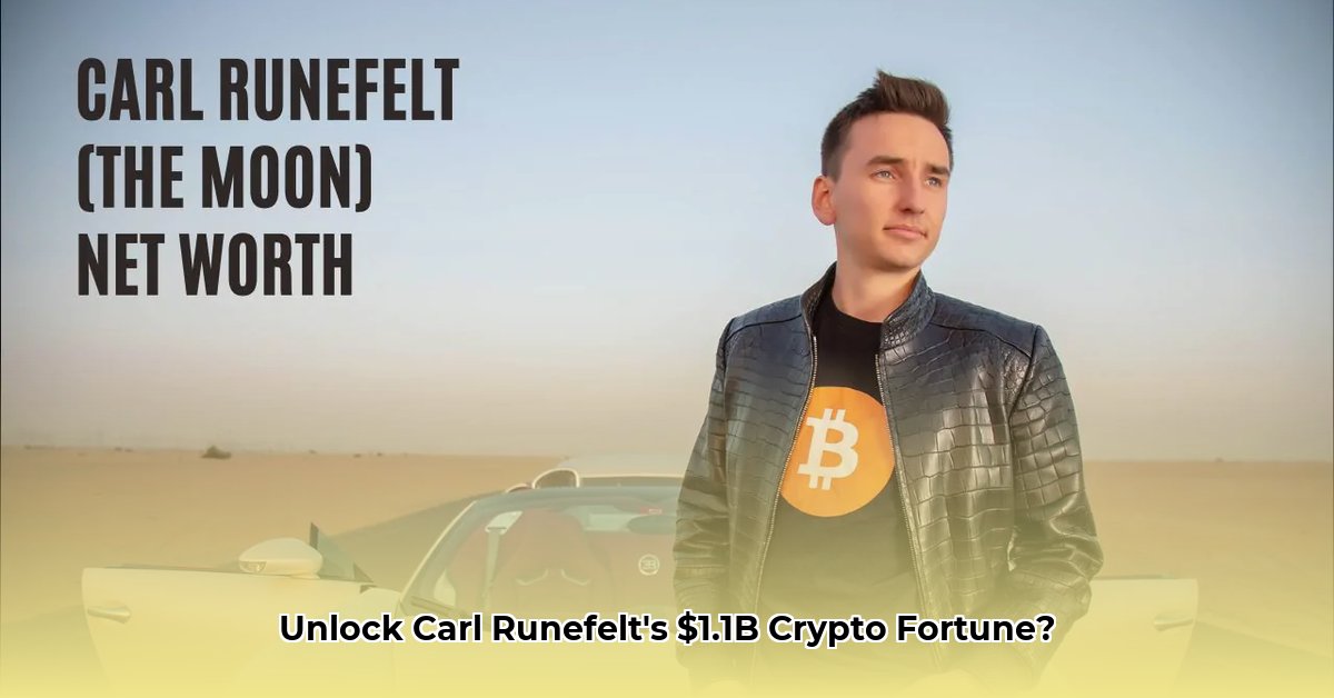 carl-runefelt-net-worth